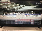 60C99883-1DBD-42C1-95CA-58887EE46115.jpeg
