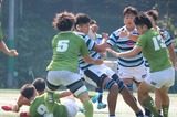 D1E34153-DEAF-46AB-B244-5EF23A0AA9C3.jpeg