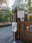 IMGP0285.JPG
