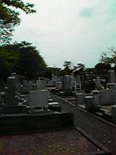 200905051208000.jpg