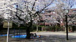 2010040113500000.jpg