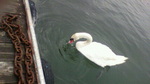 2010080116530000.jpg